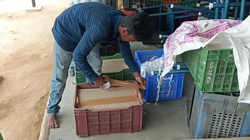 Operator placing foam liner inside a packing carton